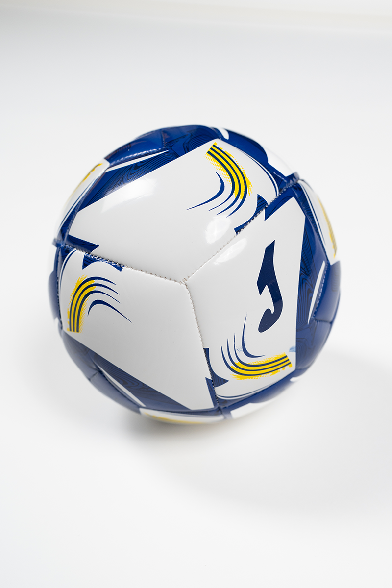 Hellas Verona Replica Ball