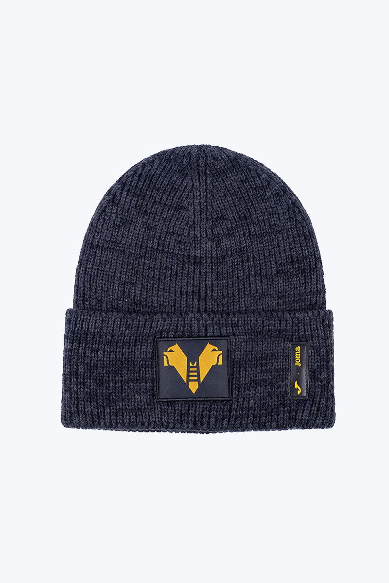 Adult winter hat