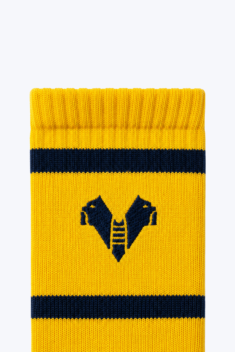 Hellas Verona Calzettoni Sportivi Cotone