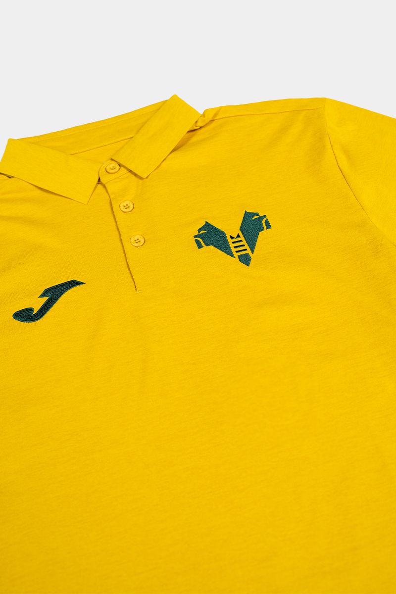 Hellas Verona Player Representation Polo 