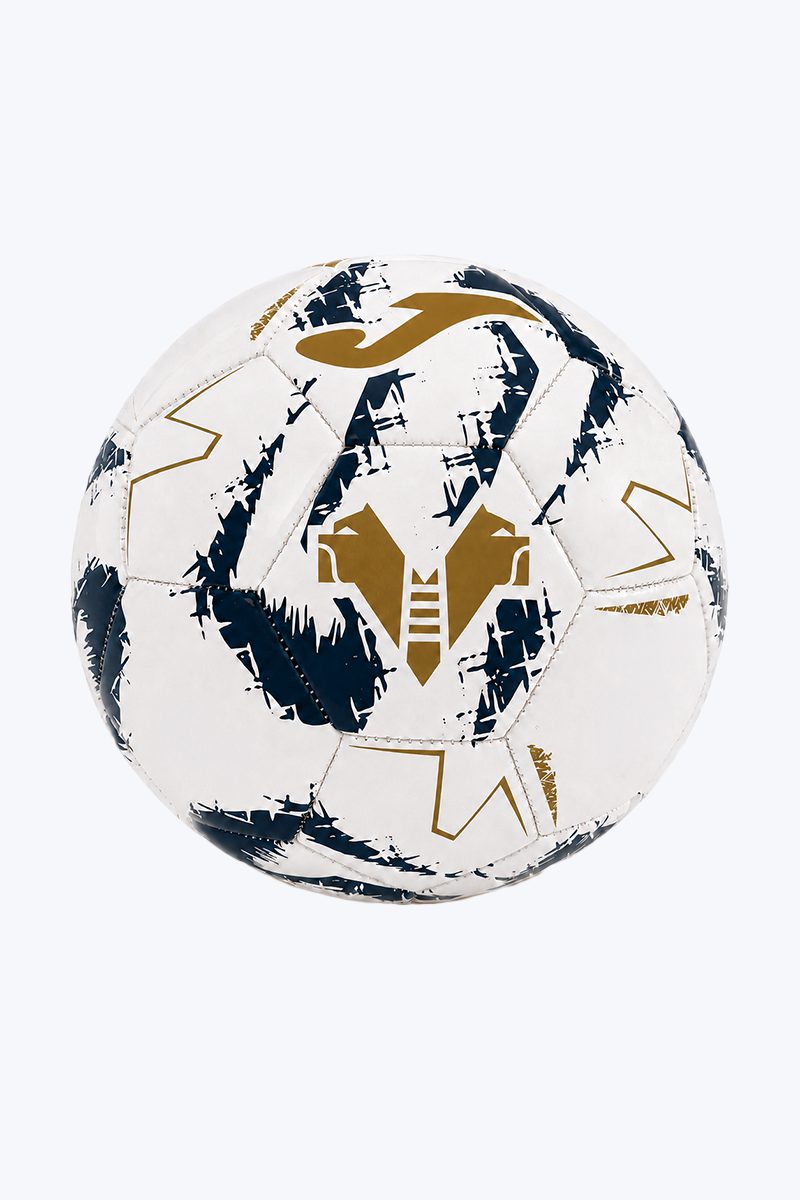 Hellas Verona FC n°1 ball