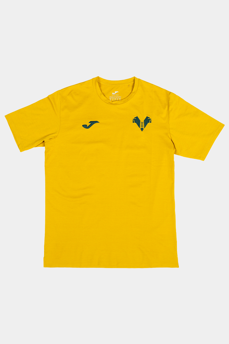 Hellas Verona Maglia Rappresentanza Player
