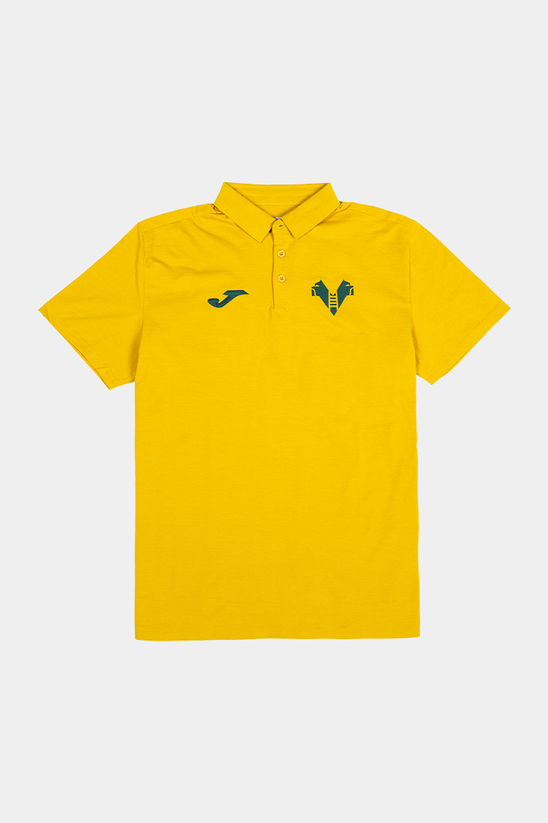 Hellas Verona Player Representation Polo 