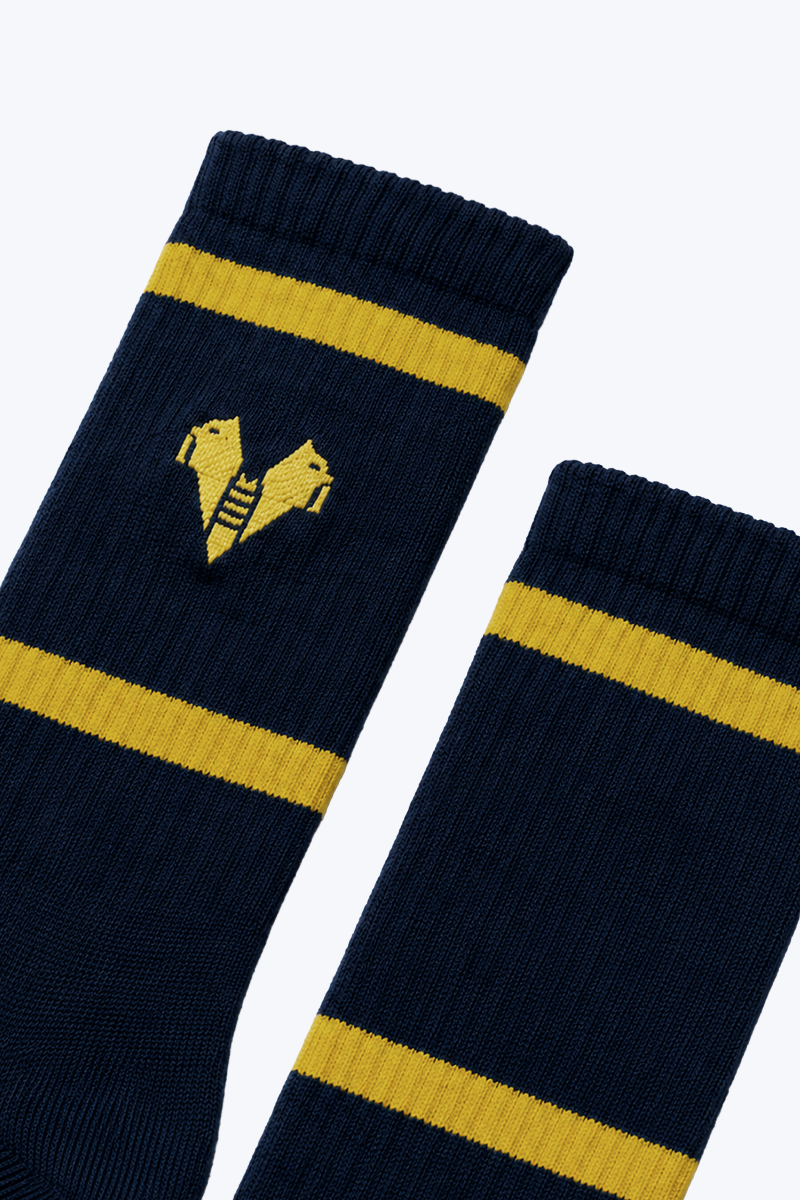 Hellas Verona Calzettoni Sportivi Blu