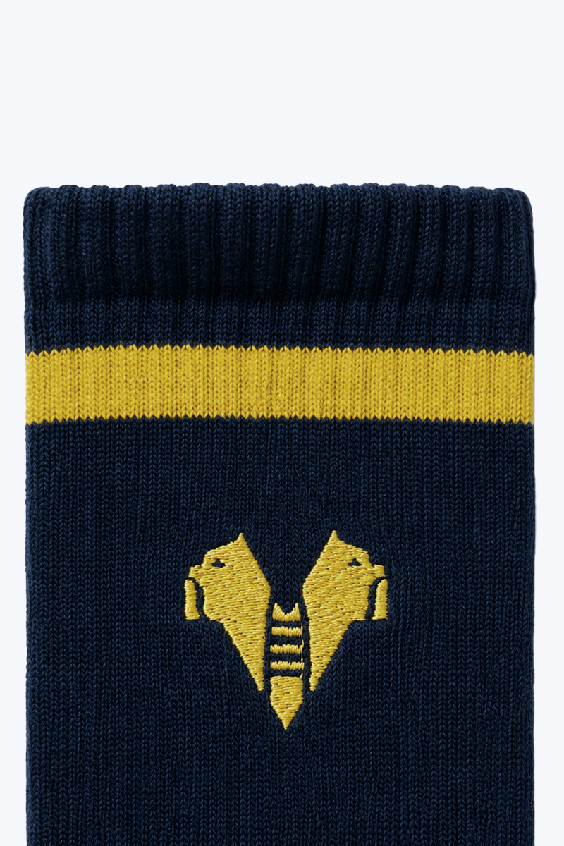 Hellas Verona Calzettoni Sportivi Blu