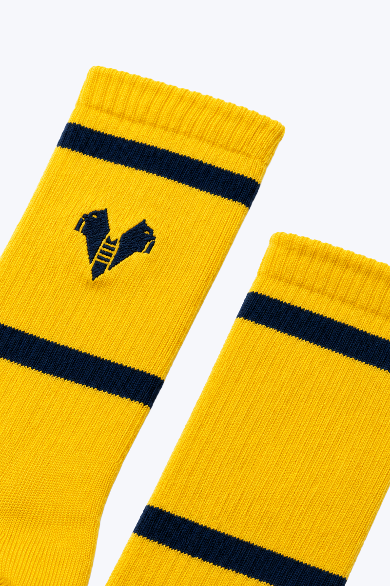 Hellas Verona Calzettoni Sportivi Cotone