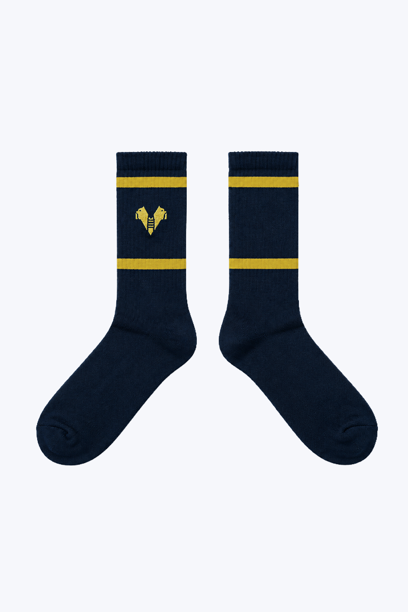 Hellas Verona Calzettoni Sportivi Blu