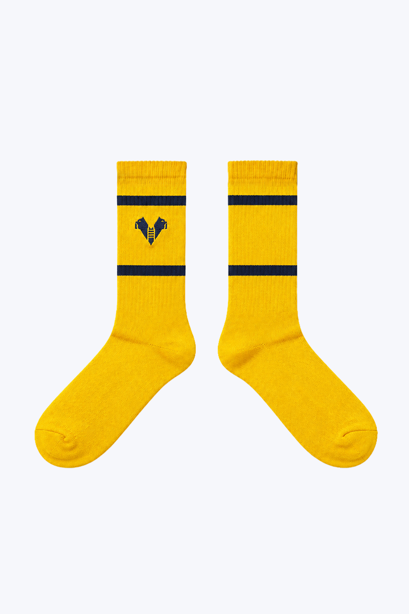 Hellas Verona Calzettoni Sportivi Cotone